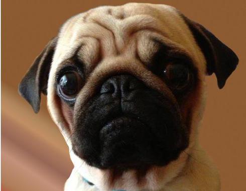 Wer kennt nicht die versteckten Kosten im Handeln?